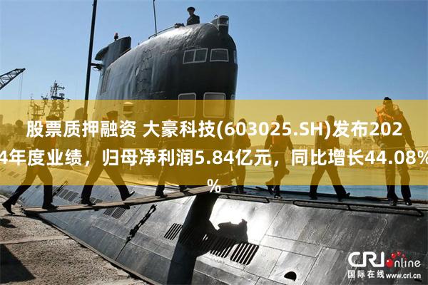股票质押融资 大豪科技(603025.SH)发布2024年度业绩，归母净利润5.84亿元，同比增长44.08%