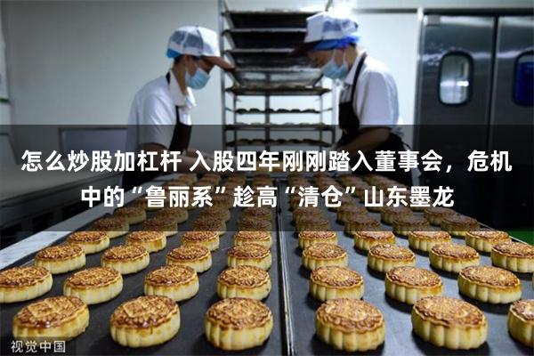 怎么炒股加杠杆 入股四年刚刚踏入董事会，危机中的“鲁丽系”趁高“清仓”山东墨龙