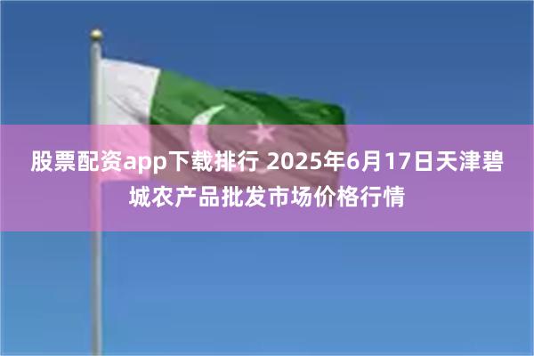 股票配资app下载排行 2025年6月17日天津碧城农产品批发市场价格行情