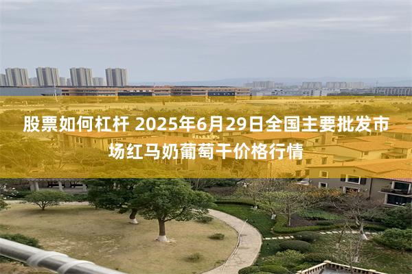 股票如何杠杆 2025年6月29日全国主要批发市场红马奶葡萄干价格行情