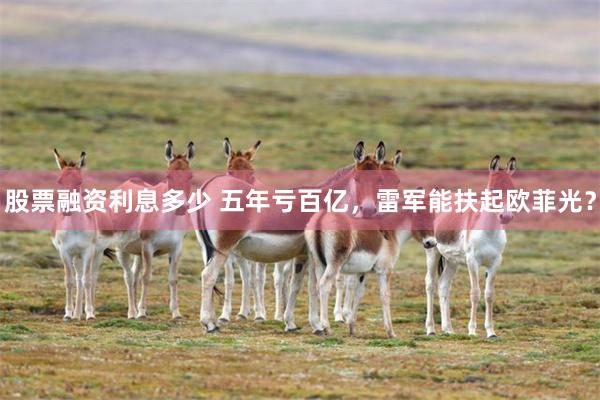 股票融资利息多少 五年亏百亿，雷军能扶起欧菲光？